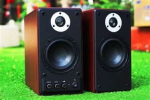 JBL Flip 6 Bluetooth Speaker